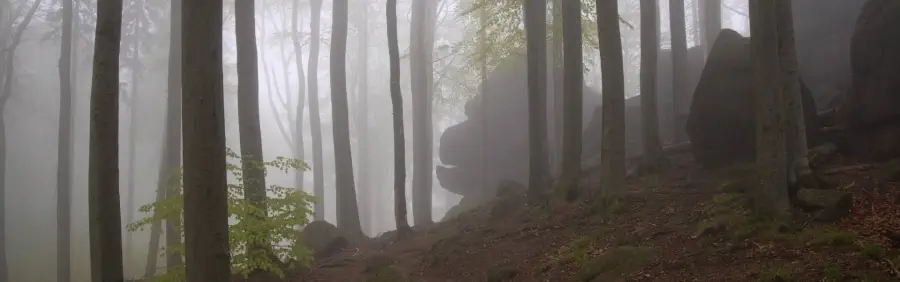 Raspenava úvodní foto6