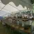 DSC08169-1