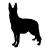 dog-220324 960 720